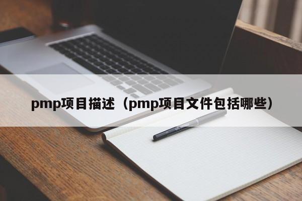 pmp项目描述（pmp项目文件包括哪些）